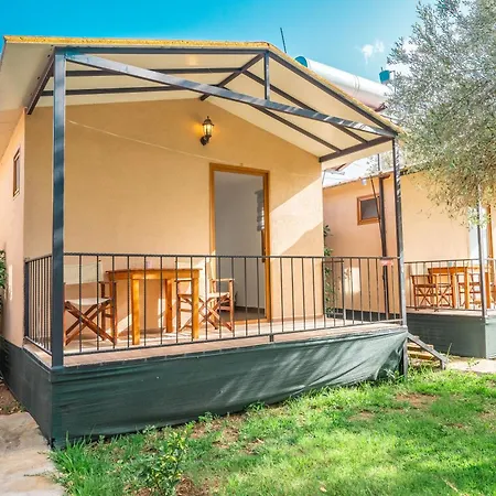 Olive Tree مرمريس