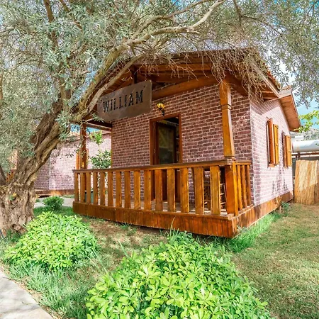 Hotel Olive Tree
