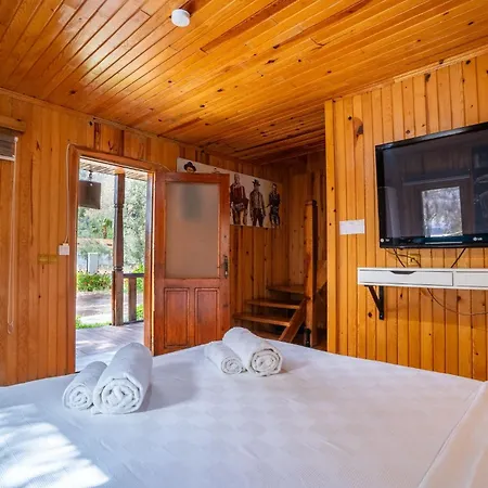 Olive Tree Hotell