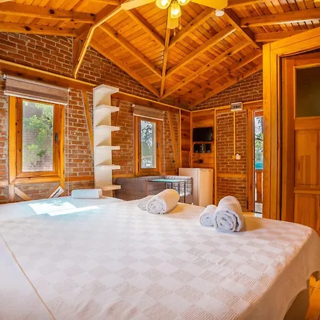 Hotel Olive Tree 4*